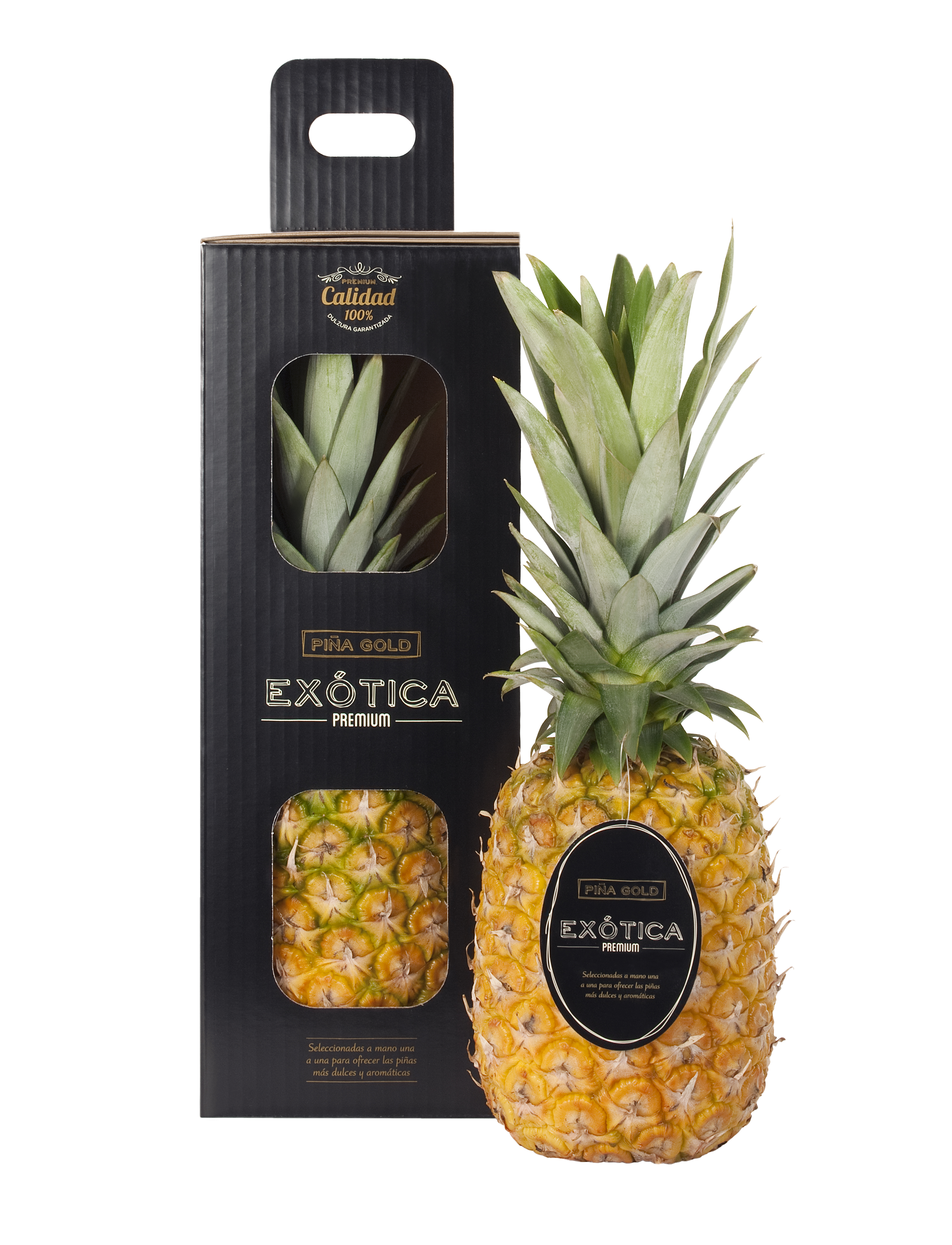 Productos · Exotica